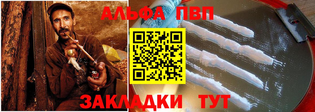 A PVP СК Бийск