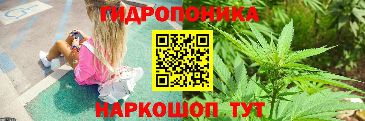 Бийск  Бошки Шишки Amnesia  Вход с VPN  Канабис планчик  Канабис SATIVA & INDICA 